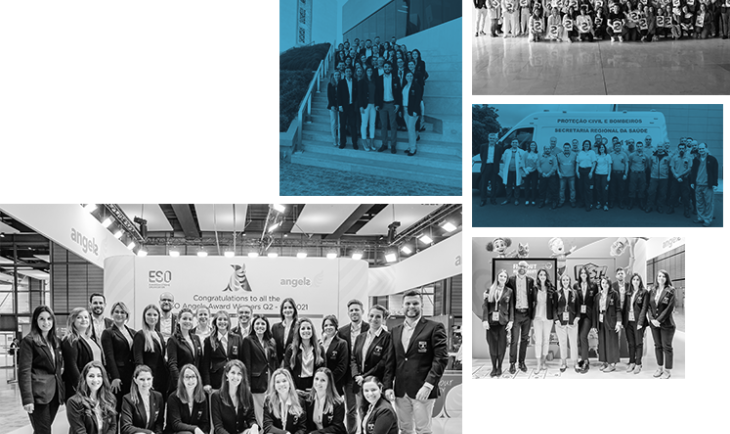 Meet the team